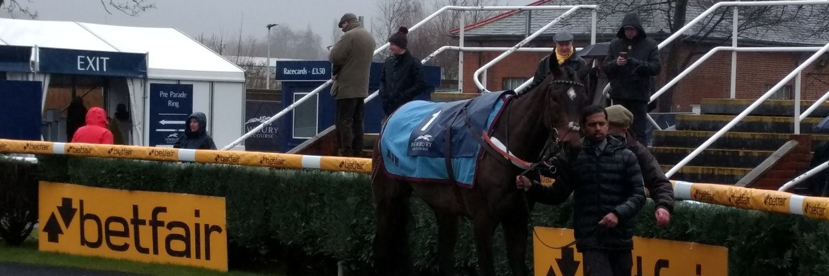 Mark Anderson banner