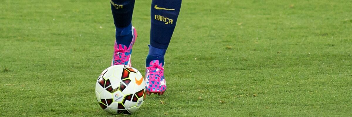 orugavoladora's profile banner image
