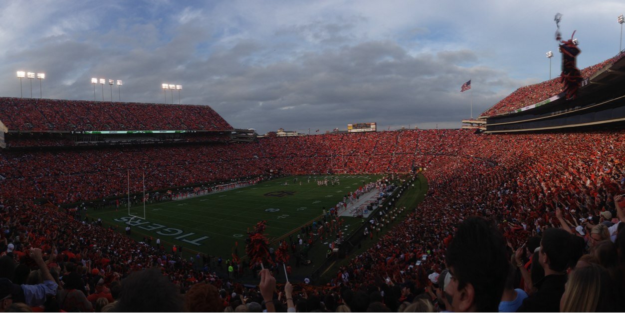 Ser Tyler of House Jones banner