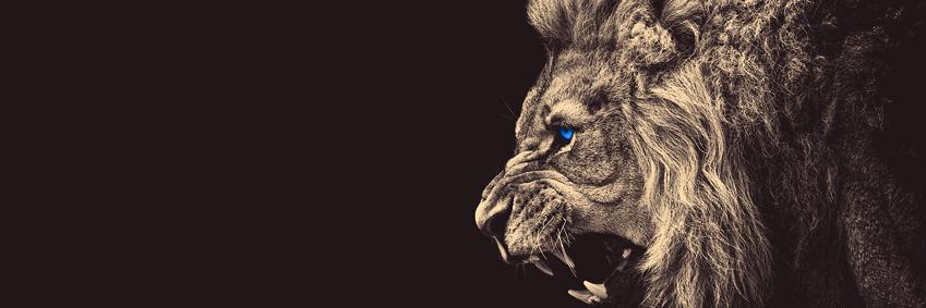 Nizzatowers's profile banner image