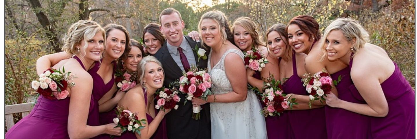 alexishahn41's profile banner image