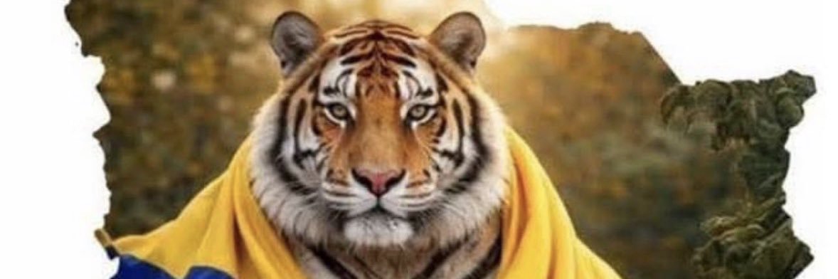 jorgeabarreto7's profile banner image