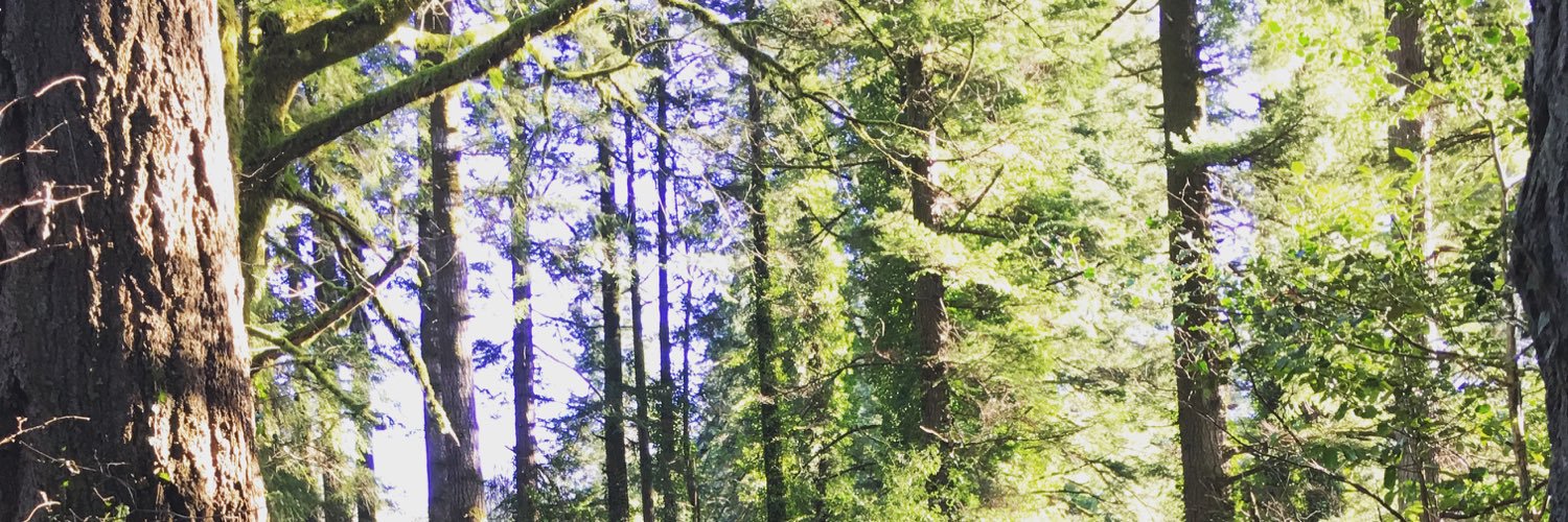 Gravythornton's profile banner image