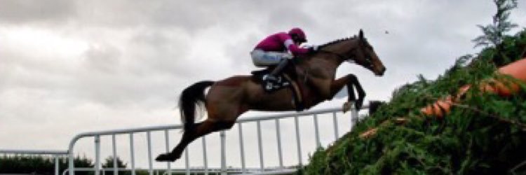 harry fowler banner