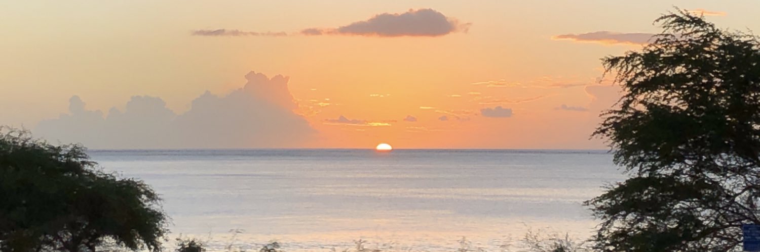 FribergAlexis's profile banner image