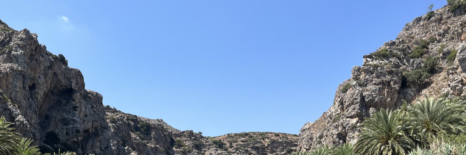 lex banner