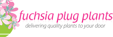 fuchsiaplugs's profile banner image