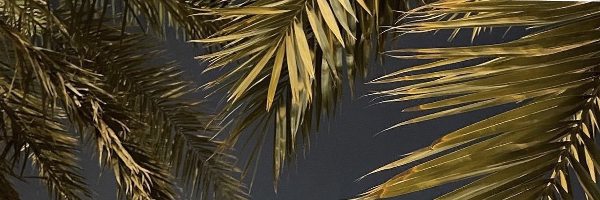 د . مشاعل العكْلي banner