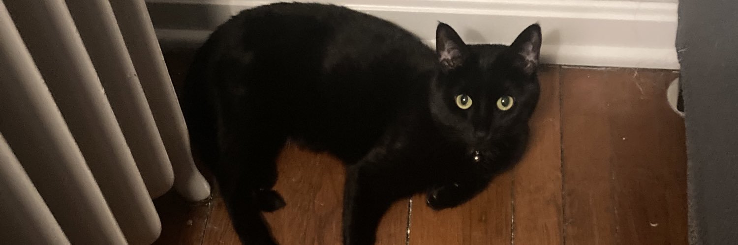 Gabbyxoxo623 (She,Her,Hers) banner