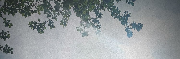 didcimen's profile banner image