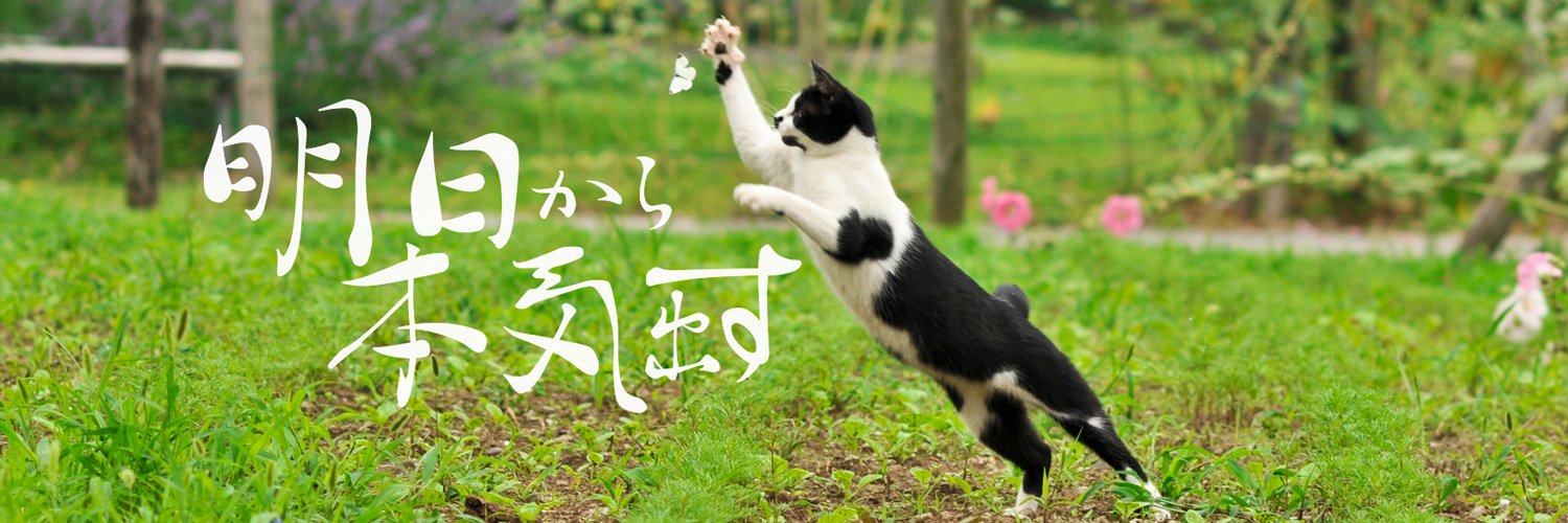 はらえっくす＠HaraX banner