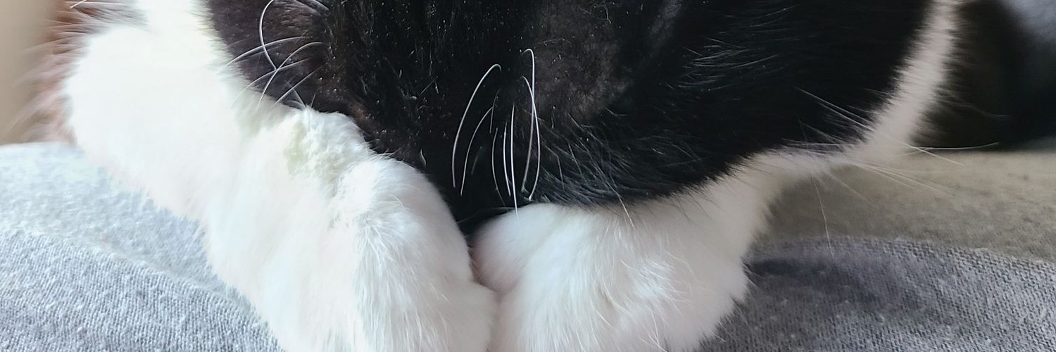 DorkyWaffles's profile banner image