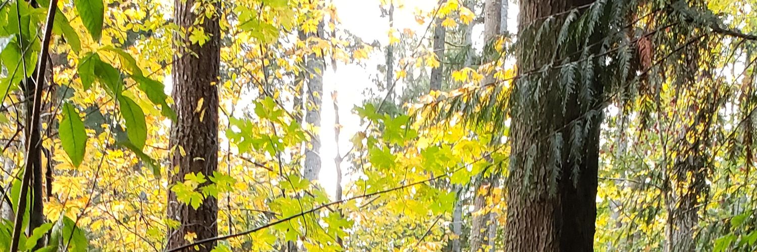 AngelaGiese's profile banner image