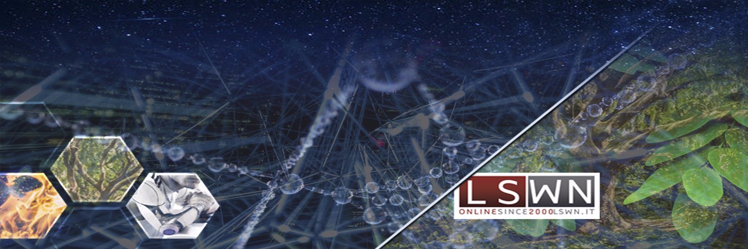 lswn2000's profile banner image