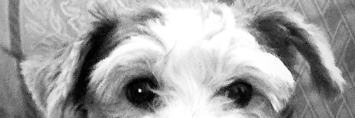 Leslie2608's profile banner image