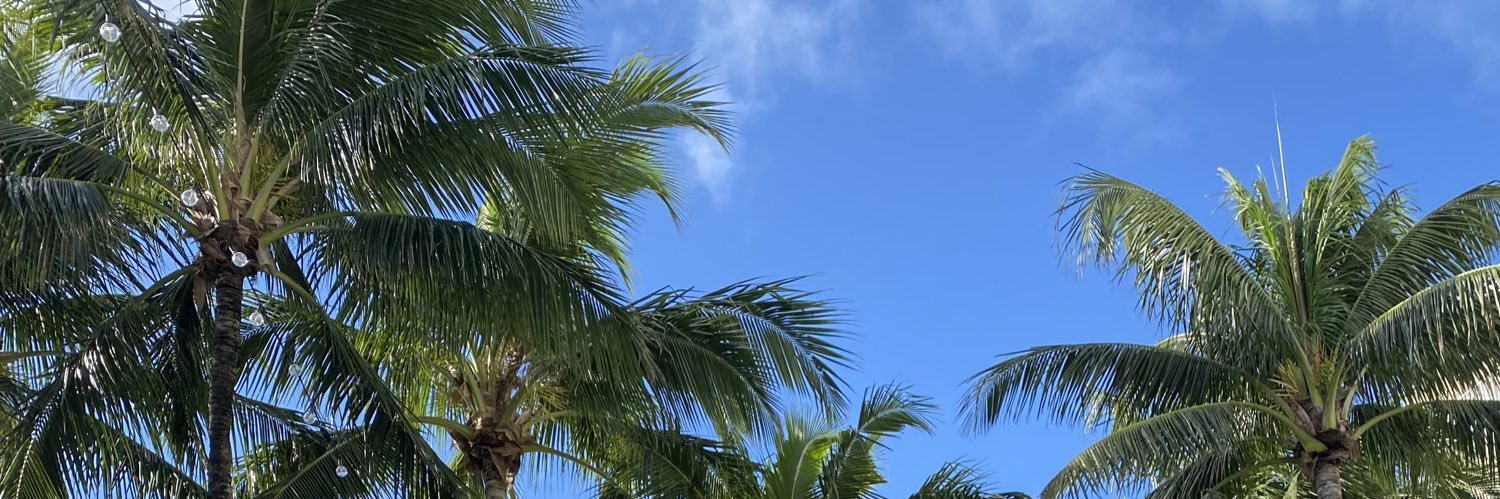 zackrota's profile banner image