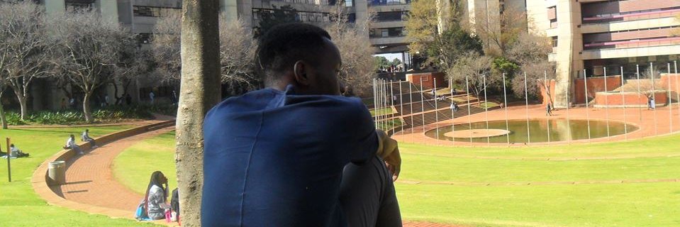 shandu94's profile banner image