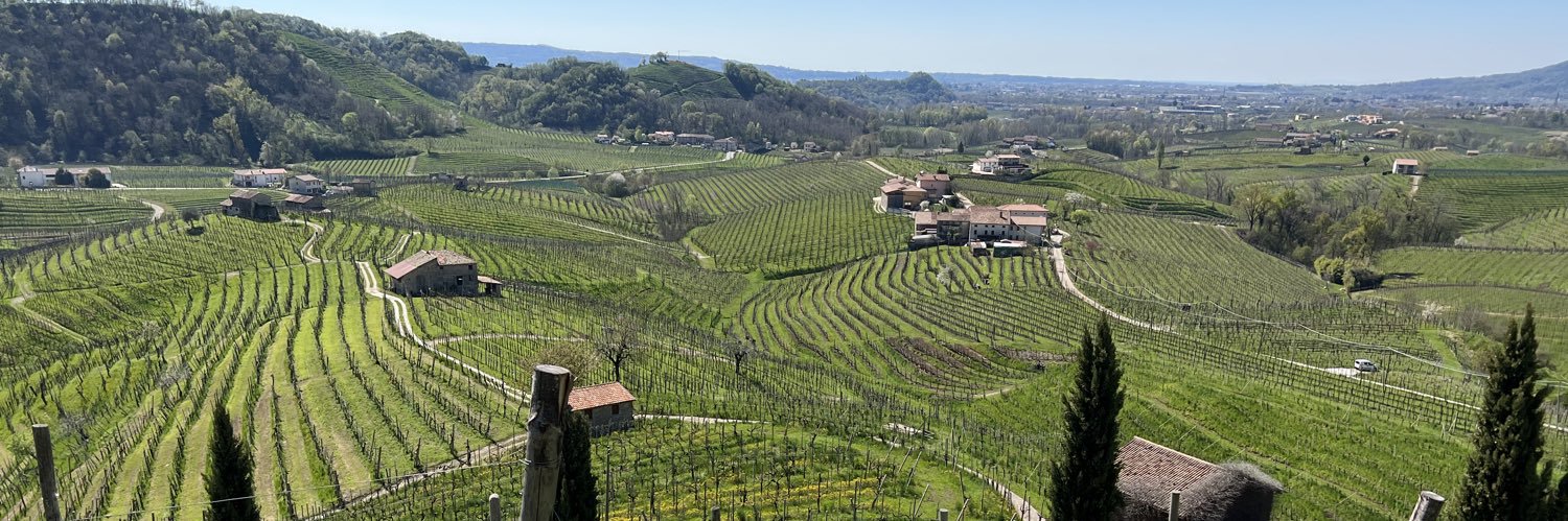 eperozzo's profile banner image