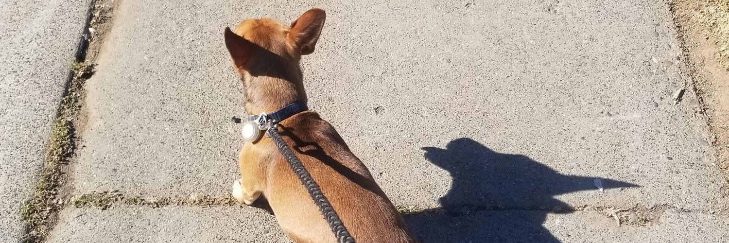 chago_sb's profile banner image