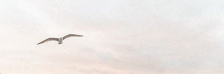 ADD-陈俊旭 banner