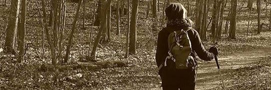 My 2 cents banner