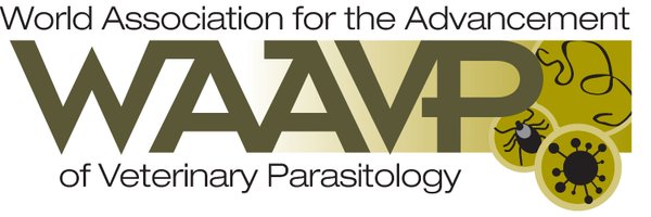 WAAVPPARA Profile Banner