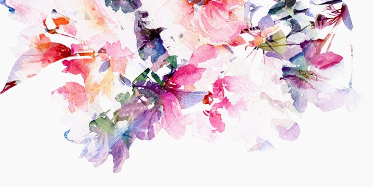 anrischaa's profile banner image