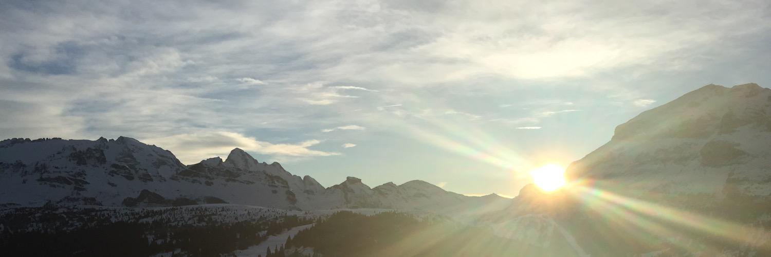 albertvanschie's profile banner image