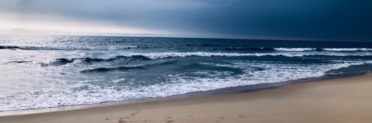 Denver Clouston Roche banner