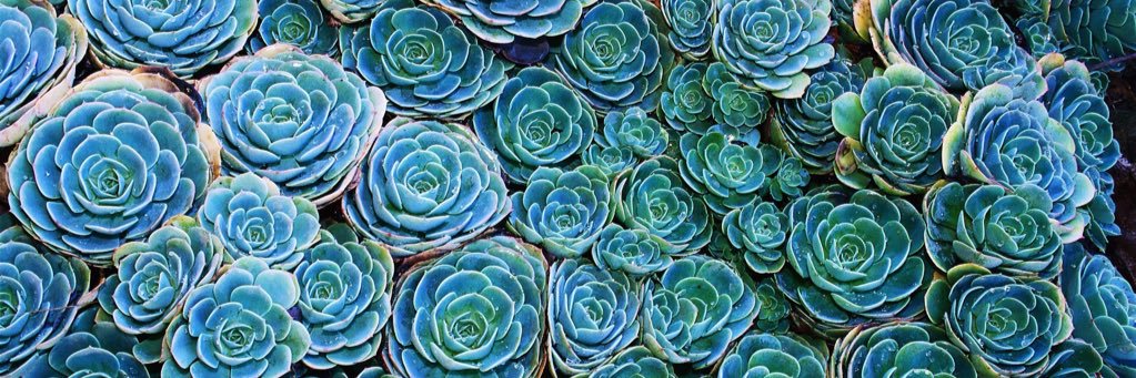 TW: катя ло banner