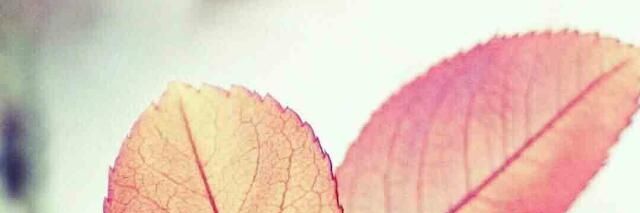 godblessadzragb's profile banner image
