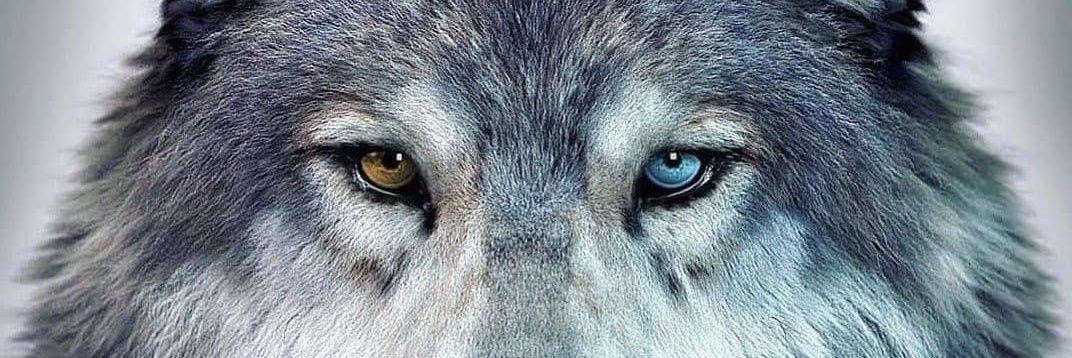 raafinr's profile banner image