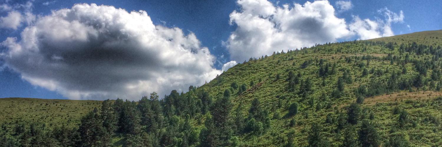 alkanderi4's profile banner image