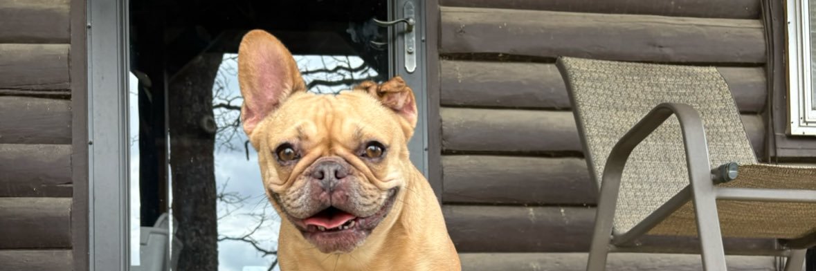 ____alaina's profile banner image