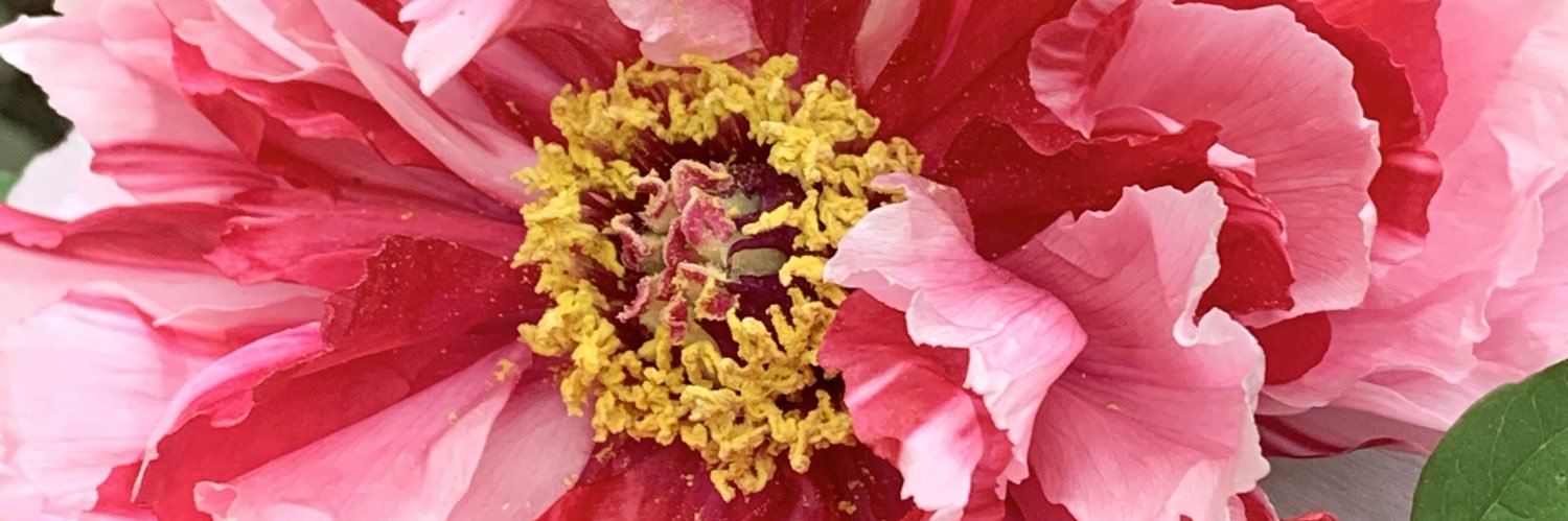 3AteAte's profile banner image