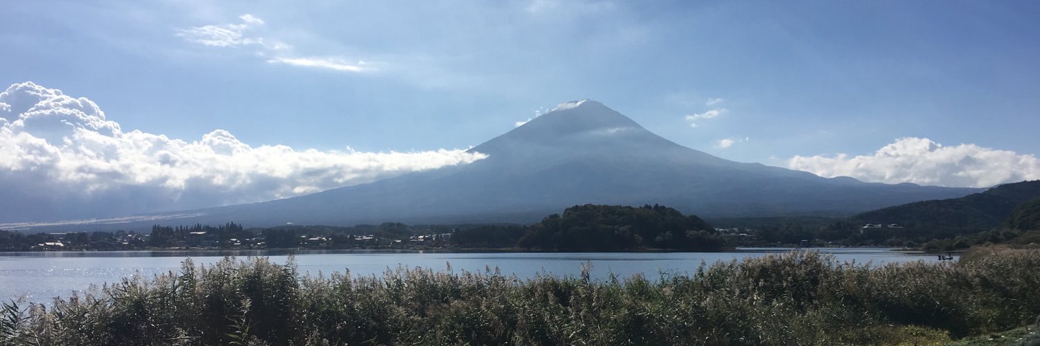 Joyce Mendoza banner