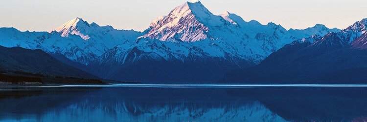 Alex L banner