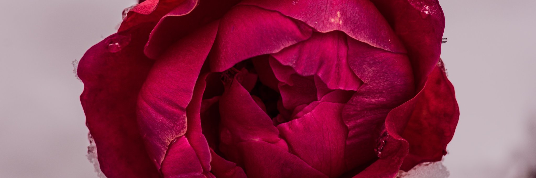 la_piccola_vale's profile banner image