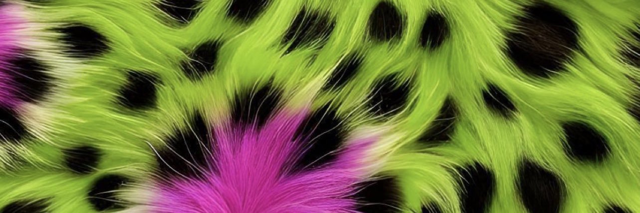 dondadakris's profile banner image