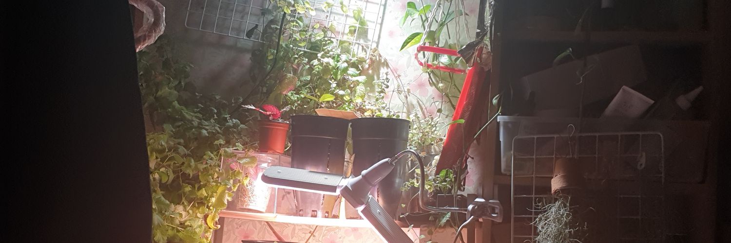 🕯페이리나🕯 banner