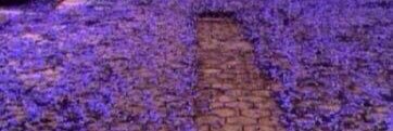saeednahi's profile banner image