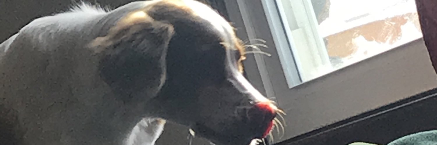mrelectrode1's profile banner image