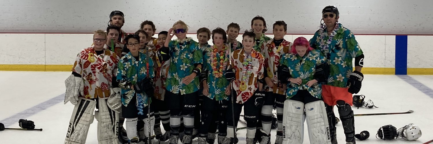 Minneapolis PeeWee A banner