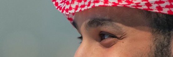 الصياد banner