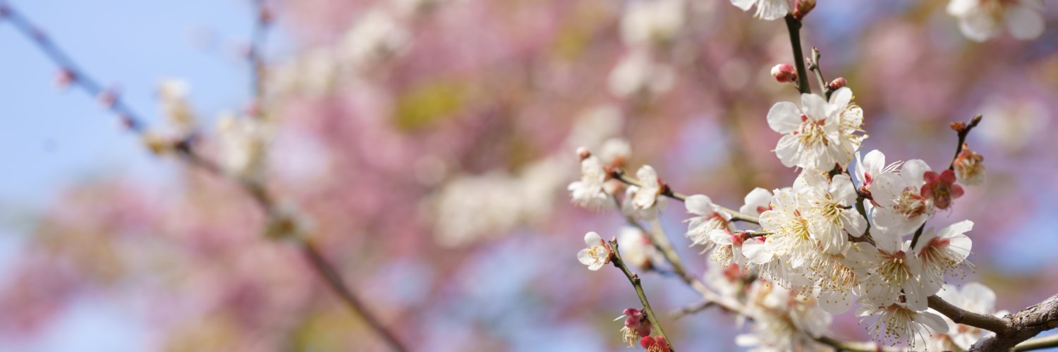 honiho's profile banner image