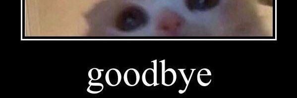 diegoturtle90's profile banner image