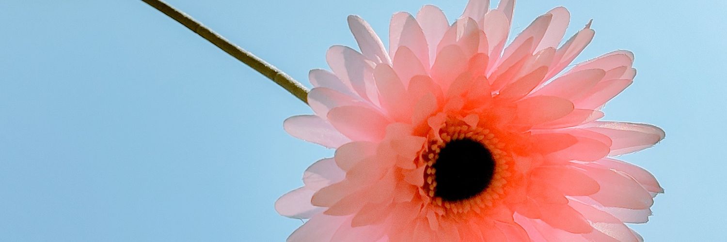 tami_imat's profile banner image