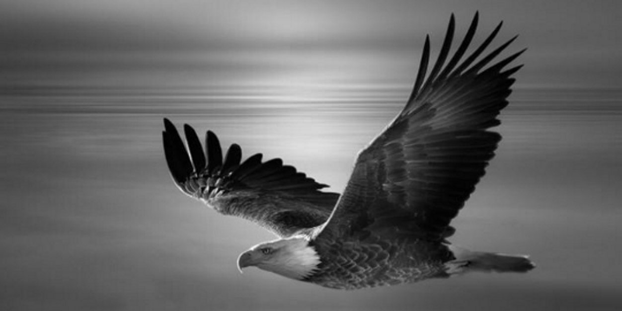 Diego Fernando banner