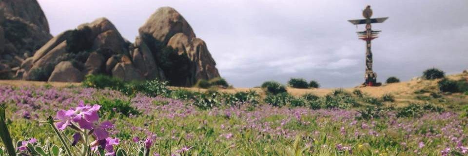 ChiaraRemedios's profile banner image