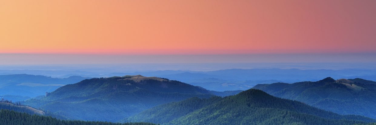 jackson_german5's profile banner image